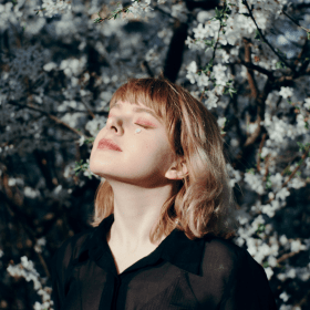 New Amazing Mindfulness Course!