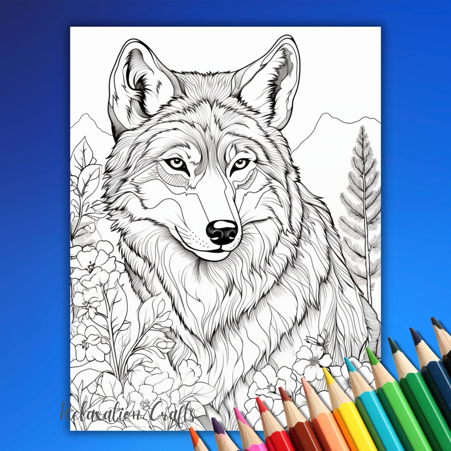 Alaska coloring pages, 40 pages adult coloring pages showing Denali National Park, Alaskan malamutes, bears, fishing, camping and more!