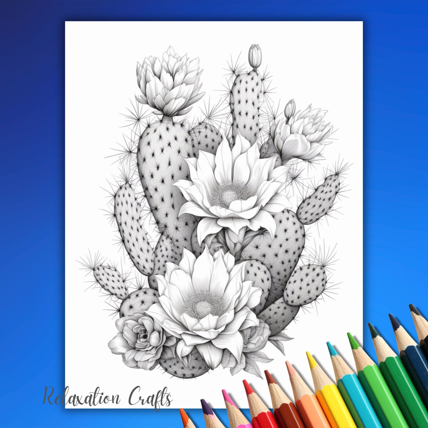 Floral Cactus Coloring Pages for Adults, 40 Grayscale Pages for Stress Relief and Relaxation, Digital Download Intriguing & Artistic Designs